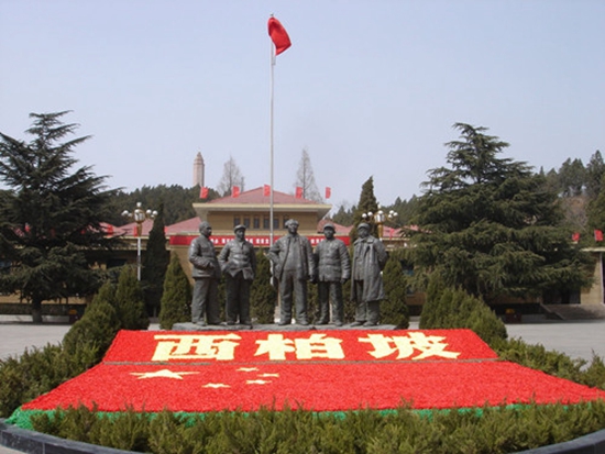 �����������DƬ��(l��i)Դ���ӱ������YӍ�W(w��ng)��