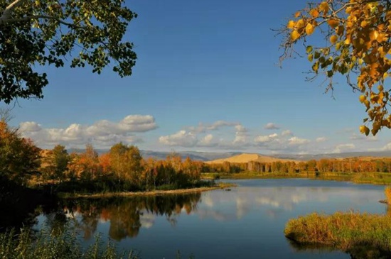 �cף������c���ľ��^(q��)�Ƴ�ϵ�Ѓ�(y��u)�ݻ��