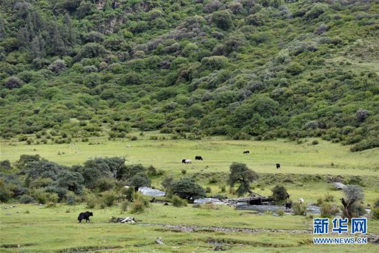 �������Ї�����1�����ظ�ؕ�ϣ��B(y��ng)�����|��δ�R(sh��)