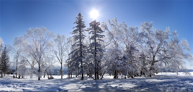 �ֺ�ѩԭ�L����