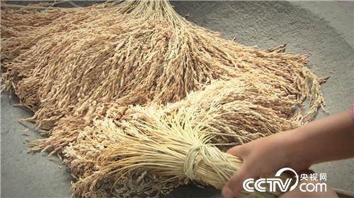 �l(xi��ng)����Ʒζ�Ї�(gu��) ����ƪ 3��1��