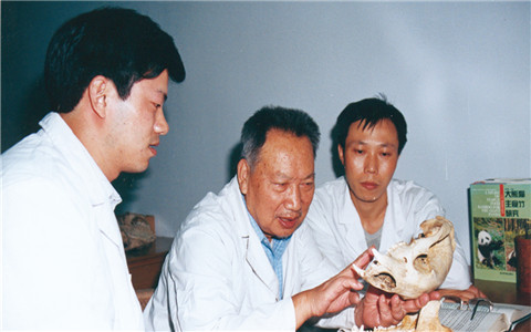 С�D ���\��.jpg