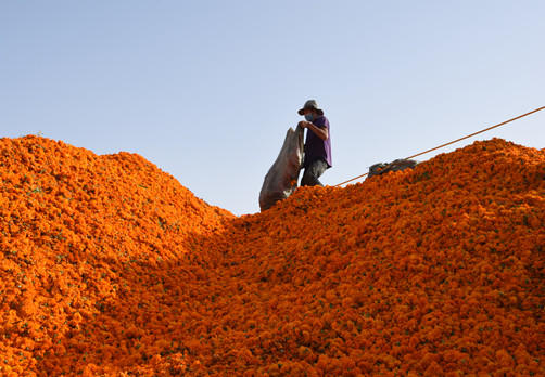 ��(d��ng)?sh��)���I(y��)������_(k��i)��ُ(g��u)�f(w��n)�۾��������_(t��i)��Vӛ�߲��i �z��(1).jpg