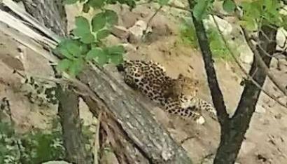 ���y���֙C(j��)�Ĕz�Ė|������Ƭ���˹��D