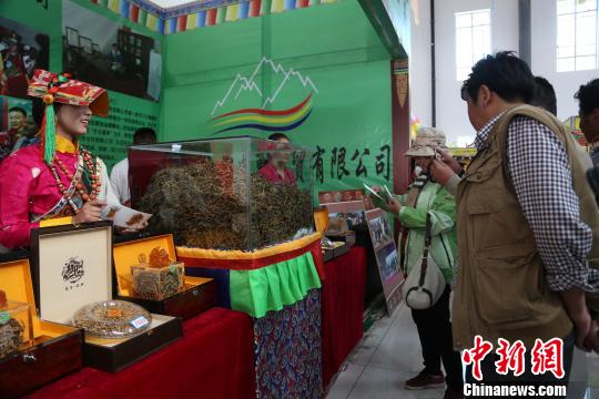 2015�Ї�(gu��)���ຣ��(gu��)�H���x�Ĳ�չ��Ļ