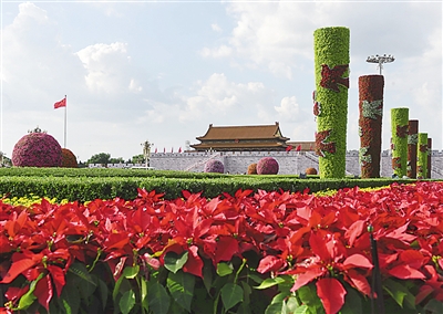 �D�鱱���찲�T�V�����õĻ�����