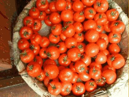 ����õĕr(sh��)�⡱����õĕr(sh��)�� �V��(ch��ng)����f(shu��)�����˶�Ҫ������(l��i)