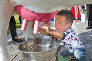 ������ɽ�����������s��