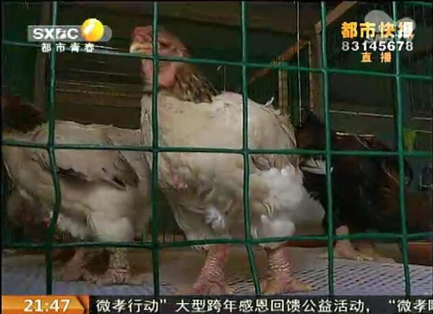 �L���^(q��)�B(y��ng)ֳ�����F(xi��n)��Ҋ�u ���ȹ��u��rһ�f��