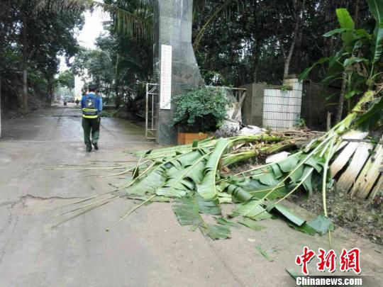 �D��Ұ�󌢴��T(m��n)�ɂ�(c��)�����ײ�����Ž���(sh��)���� ���ڲ� �z