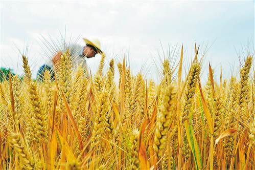 ɽ�|ʡ�����������(zh��n)�r(n��ng)�������������6��4�Քz��