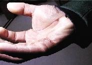 �����T���˱�ҧ��Ѫδ���֣���������������