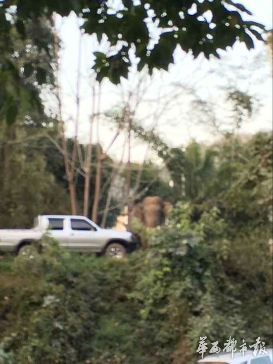 ���p��{Ұ�����p�����Ϲ�·�� �Ĵ��ο�܇�v����