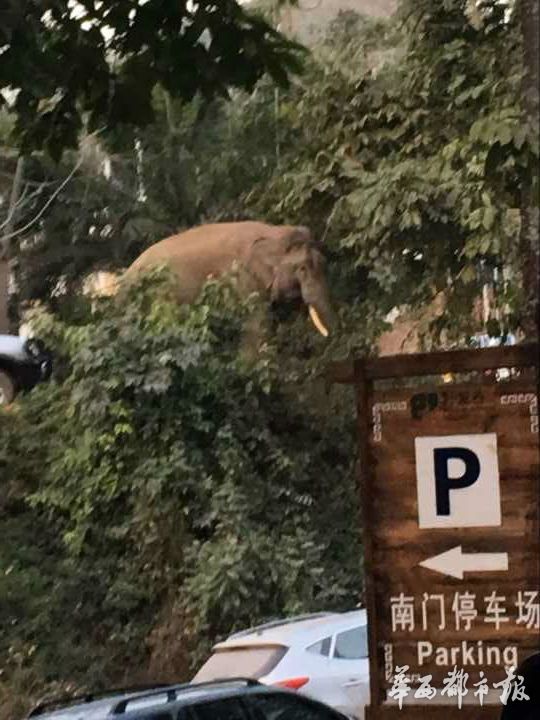 ���p��{Ұ�����p�����Ϲ�·�� �Ĵ��ο�܇�v����