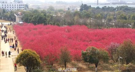 �������O(ji��n)�z�����MС�^(q��)���һ�