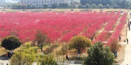 �������O(ji��n)�z�����MС�^(q��)���һ�