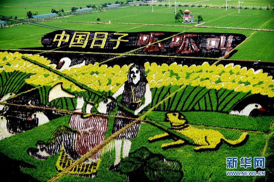 �����Aȫý�^�l���ɕ��؄e������D�Ļ��ӣ���1���Ҝ�(zh��n)������(bi��o)�����մ�߉݋������ȫ���ɕ������Ї���λ��