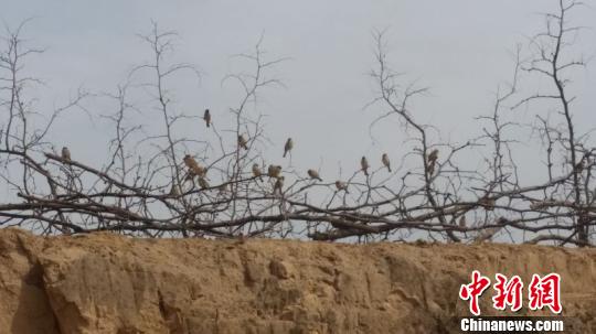 ɽ���R�h�t�����N(xi��o)���m(x��)�����r(n��ng)䏵�����(sh��)��(d��ng)������D��