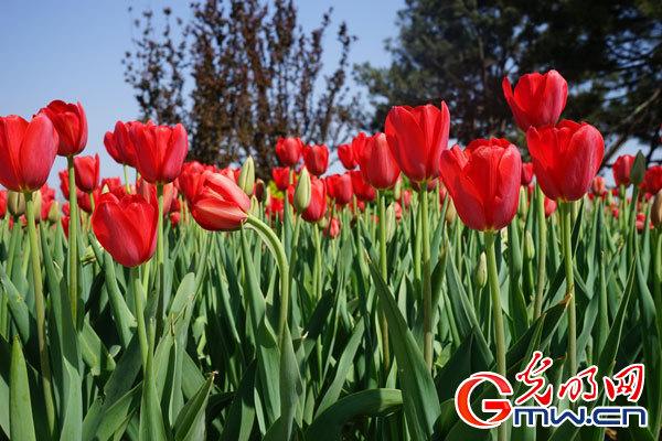 ���W(w��ng)�j(lu��)ý�w���D(zhu��n)�ġ���ɽ���@��(hu��)�_Ļ������Ļ��