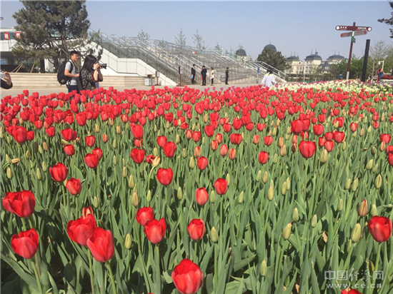 [�W(w��ng)�j(lu��)ý�w���D(zhu��n)��]��ɽ���@��(hu��)�_Ļ ��ú�����^(q��)��׃���@