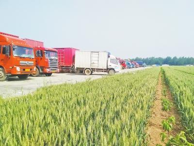 ӛ���ړP�������������ĈD