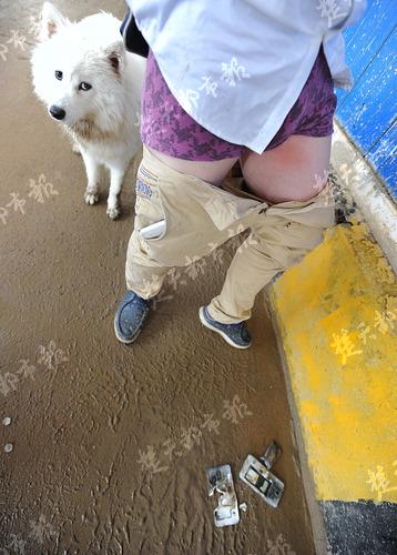 �Y�ψD���������Ȳ����֙C(j��)�Ƃ�