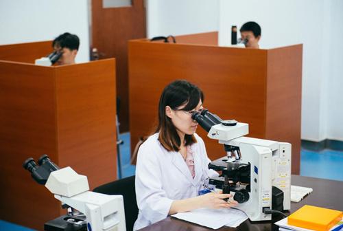 ���K�t(y��)�ģ��ּ�(j��)�\���ݼ�����