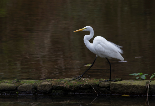 �����ɡ�����?bi��o)��������������ƴ��z�Ӱæ�ԑz���D��