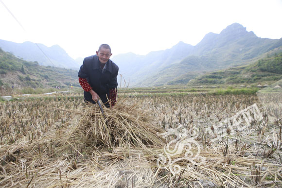 ���W(w��ng)�jý�w���D�ġ��tɫ�υ^(q��)��������ʾ������ �ؑc����������ɫ�����N·��