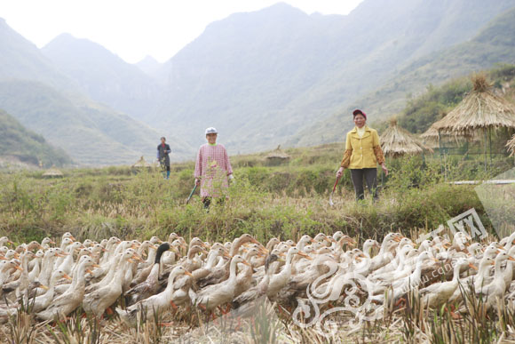 ���W(w��ng)�jý�w���D�ġ��tɫ�υ^(q��)��������ʾ������ �ؑc����������ɫ�����N·��