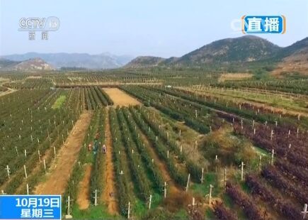 ��������ˡ��ػʍu����ɽ�ӹ������� �ƌW(xu��)�Nֲʡ�˹�