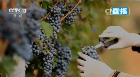 ��������ˡ��ػʍu����ɽ�ӹ������� �ƌW(xu��)�Nֲʡ�˹�