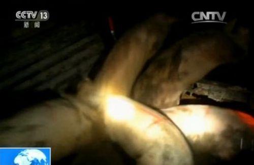 ��ҕ��Խ�����i��˽朣��ďV���뾳 С�(zh��n)�鲼��˽ͨ��