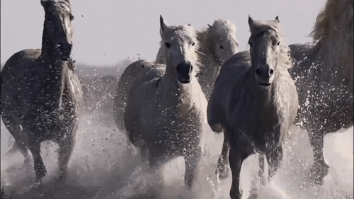 ���·�(gu��)������(sh��)�` ��(n��i)�ɹ�ƪ�����ܰ�����(n��i)�ɹţ�