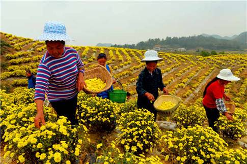 �ƵZ�^�M(j��n)�����꣺Óؚ����(ji��n)�ɾʹ�  Ⱥ�����ġ��@�øС�