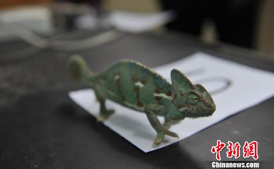 ����ɭ�־����ƫ@һ���ش�W�j؜�uҰ�����Ｐ��Ʒ��