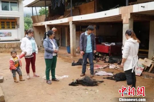 �����e��110ֻ��Ұ����(d��ng)�﹥������@12.44�f(w��n)���U(xi��n)�r��