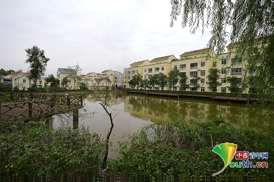 ���W(w��ng)�j(lu��)ý�w���D(zhu��n)�ġ��߽��ɶ��츮�^(q��)�����(zh��n)�������l(xi��ng)��չ�츮��������