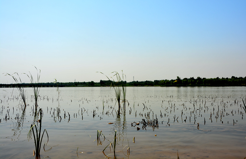 ��Щ���������Ӻӵ��ɺ���ɳʯ��أ����ֿv�M����(j��ng)�^���B(t��i)�ޏ�(f��)���aˮ��������@���ѽ�(j��ng)�ɞ��Ѕ^(q��)�������B(t��i)���^����ˮ���L(f��ng)���^(q��)��������W(w��ng)ӛ�ߌO����z��