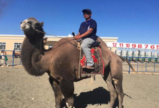 �c���M(j��n)����һ�