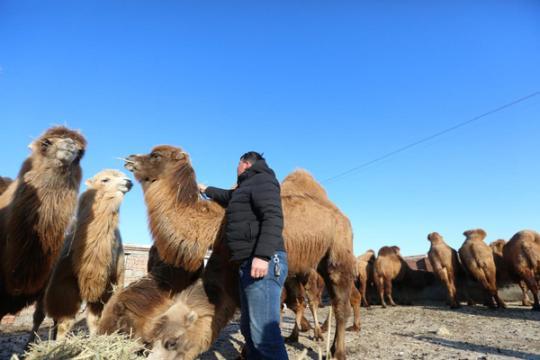 �c���M(j��n)����һ�