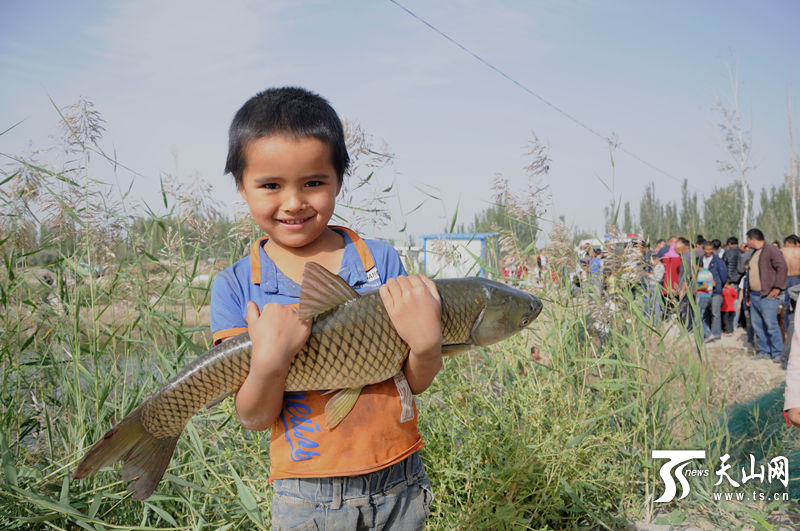 ������һ�wʯ���ѡ� �Y(ji��)�H�ɲ��ġ������~����