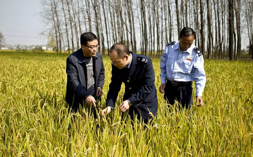 Óؚ����(ji��n)��(zh��n)�о`�ŵĶ���(w��)����