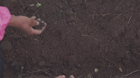 �R�^�е�Óؚ����|���������������