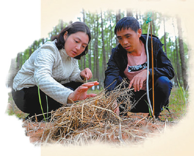 �qĩ���̽Óؚ(�����۴��AÓؚ����(ji��n)��(zh��n))