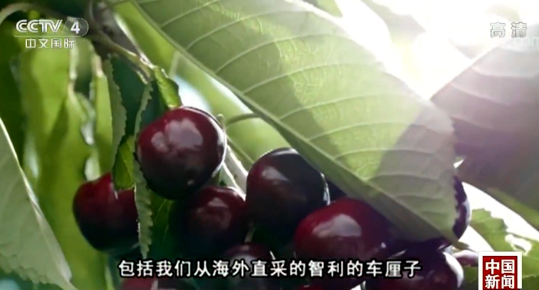 �r(n��ng)�a(ch��n)Ʒ