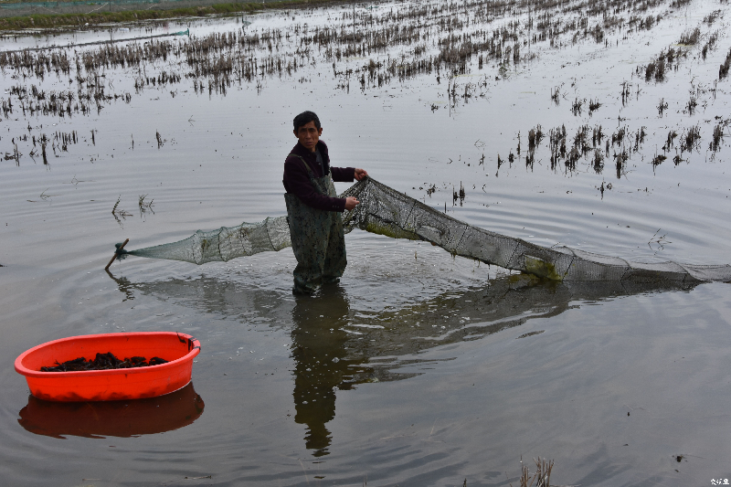 ���´��߻��ӡ���ˮ��+���r����׌�@��Ĵ�������������