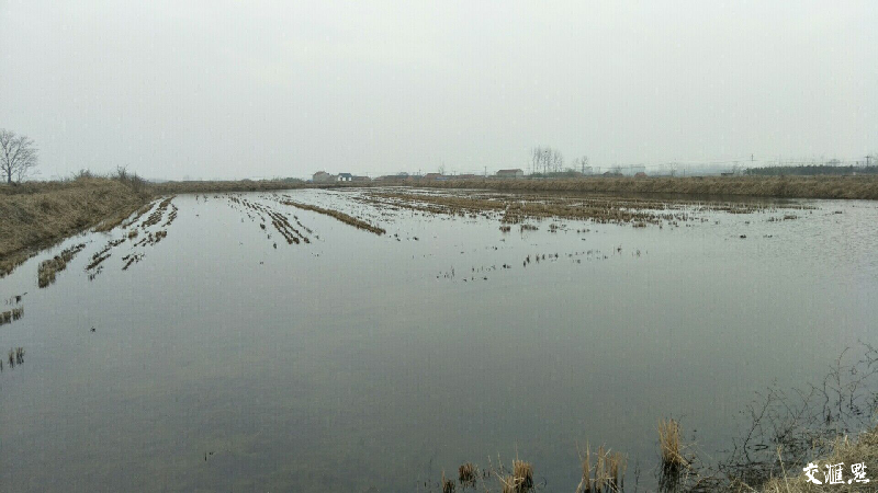 ���´��߻��ӡ���ˮ��+���r����׌�@��Ĵ�������������