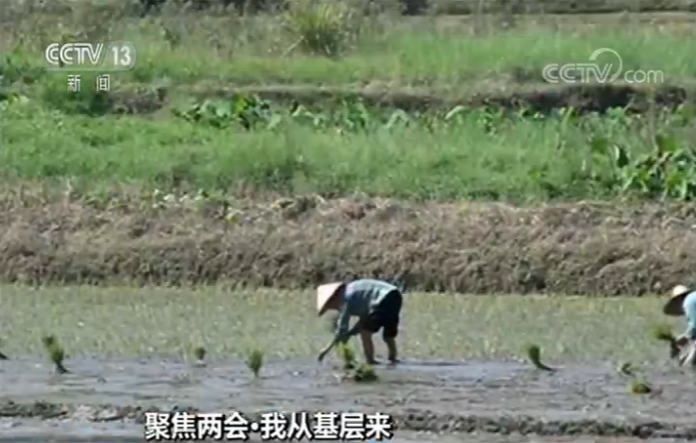 ���۽��ɕ�(hu��)�ҏĻ��Ӂ�(l��i)��ȫ��(gu��)���f(xi��)ί�T�����Ԟ����