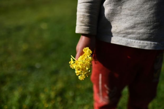 �ҵļ���ح�_�W(xu��)������һ������߀�h����